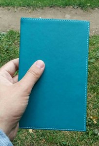 tumblr_nvuzlsJgKt1sgd3yvo1_500